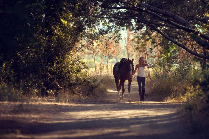 Photoshoot with a horse. Part II: Tips for the Photographer and the Model (from Equestrian) continued - My, Horseback Riding, Horses, On horseback, PHOTOSESSION, Animals, Landscape, Longpost