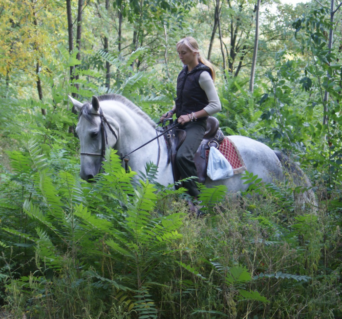 Photoshoot with a horse. Part II: Tips for the Photographer and the Model (from Equestrian) continued - My, Horseback Riding, Horses, On horseback, PHOTOSESSION, Animals, Landscape, Longpost