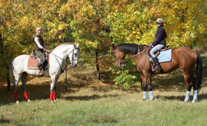 Photoshoot with a horse. Part II: Tips for the Photographer and the Model (from Equestrian) continued - My, Horseback Riding, Horses, On horseback, PHOTOSESSION, Animals, Landscape, Longpost