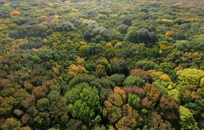 Autumn colors - My, Gopro 6, Gopro karma, GoPRO, Stavropol