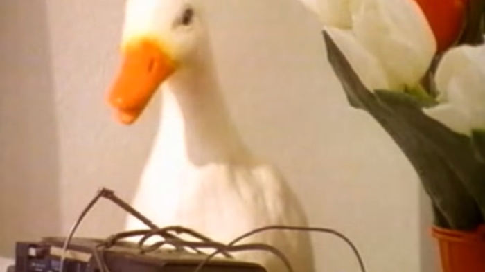          80, , , , , , , , 