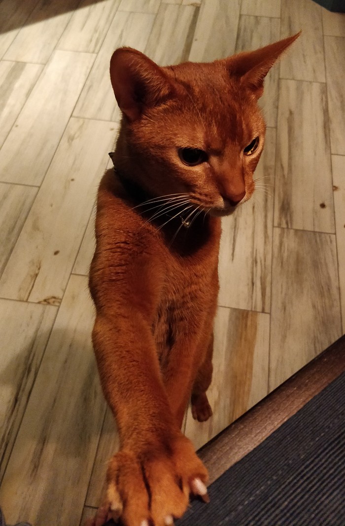 ������ ����������