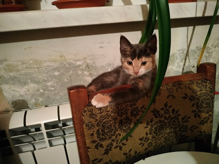 Отопление включили