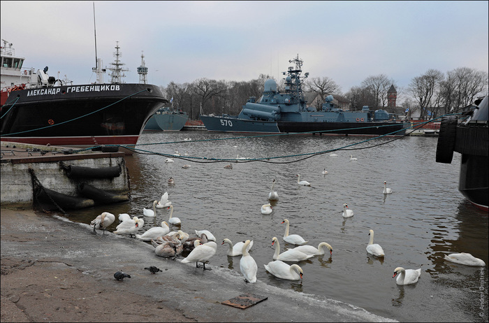 Photowalk: Baltiysk, Russia - My, Photobritish, Russia, Baltiysk, Fleet, Ship, The photo, Travels, Town, Longpost