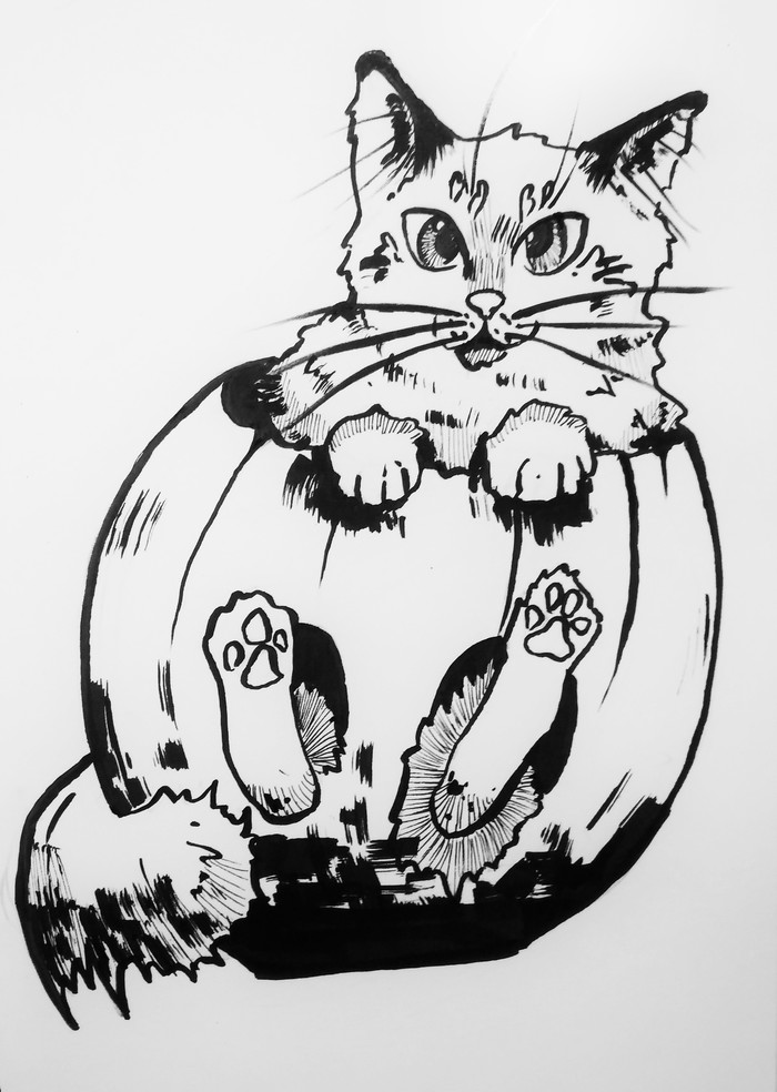 ���������� ����� � ���