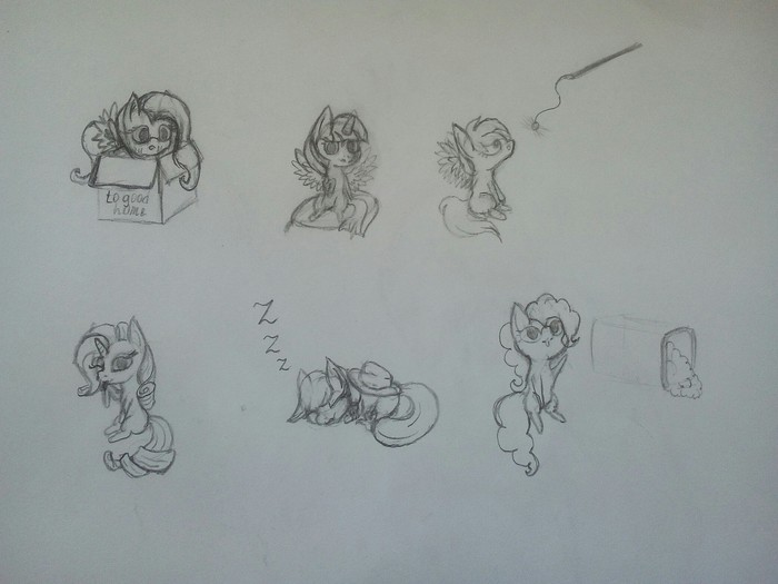 Поняхи-кошки