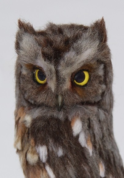 Sleepy owl. Dry felting. - My, Needlework without process, Dry felting, Birds, Needlework, Handmade, Creation, Longpost