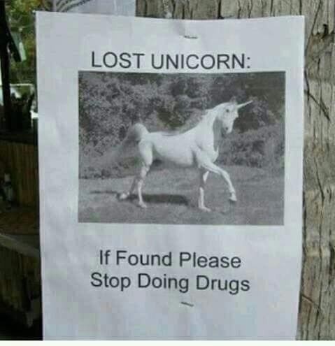 Lost Unicorn, if you find it, please stop using drugs. - Announcement, Unicorn