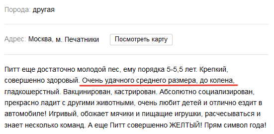 Найден пес пикабушника - Моё, Объявление на авито, Собака, 49 и 5, До колена, Тонкий юмор