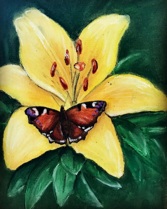 Remember summer ^_^ Butterfly on a lily - My, Drawing, Pastel, Dry pastel, Nature, Flowers, Butterfly, Colour pencils