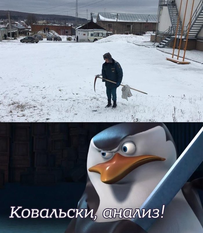        ,   . ,  , 