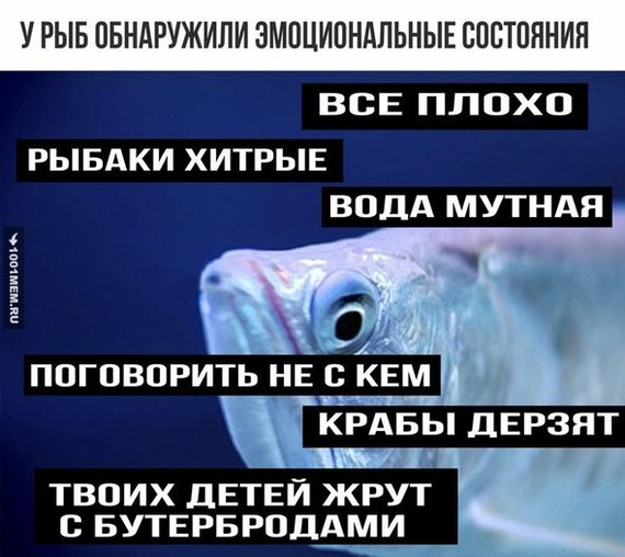 molodie-lesbiyanki-na-pol-karasika-vophnul-babe