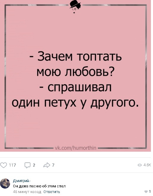 Действительно, зачем? - Смысловые галлюцинации, Песня, Юмор, Петух, Комментарии, ВКонтакте