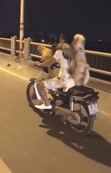 Мы едем, едем, едем в далекие края!