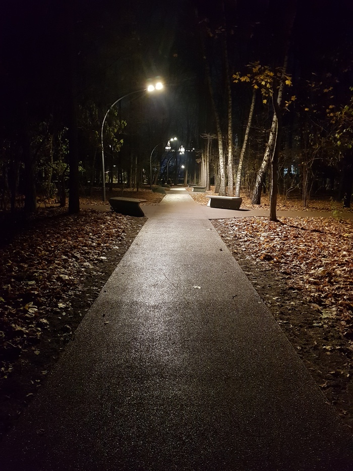 Night, street, lantern - My, VDNKh, Autumn, The photo