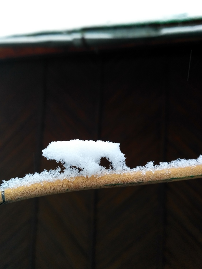 Snow on wire and branch - My, Snow, It seemed, Longpost