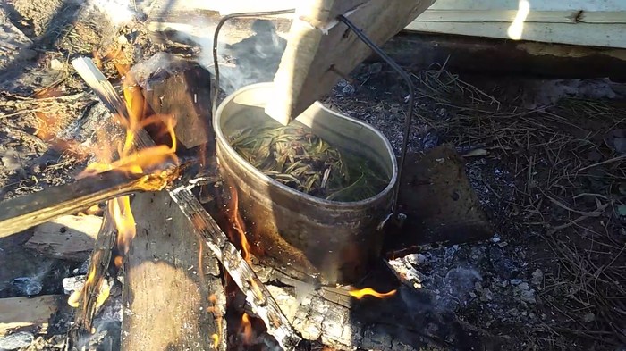 Fish baked on coals in moss - My, Cooking, , , , Fish on coals, Video, Longpost, Field kitchen