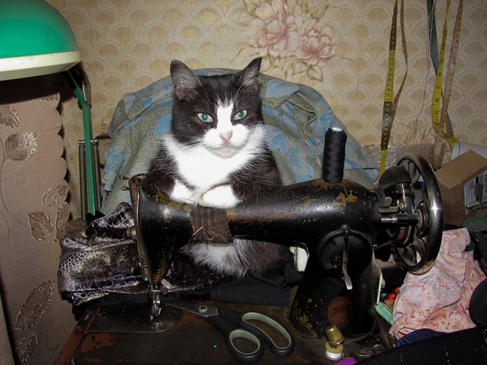 ����� �������� ��������.