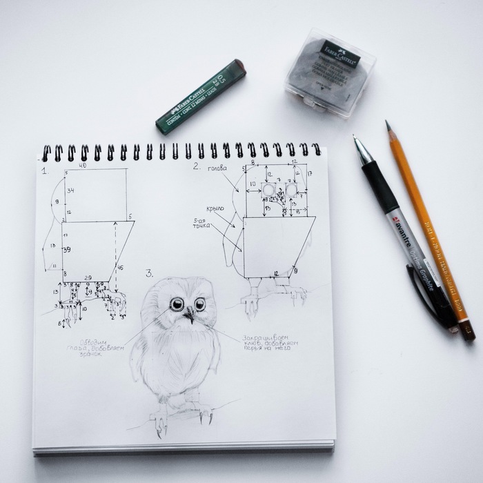 How to draw an owl. - My, Drawing lessons, Owl, Art, Learning to draw, Instructions, Birds, Longpost, Tutorial, Drawing