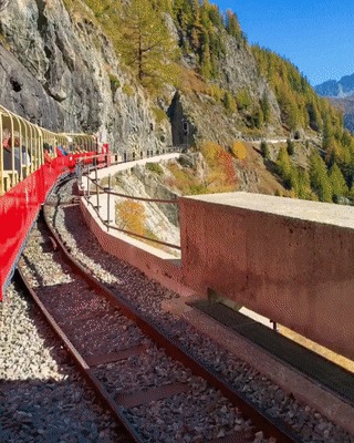 Архитектурные решения, вдохновленные прелестями природы