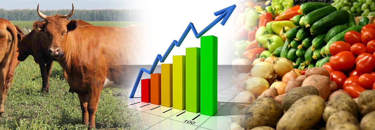 Экспорт продукции апк национальный проект