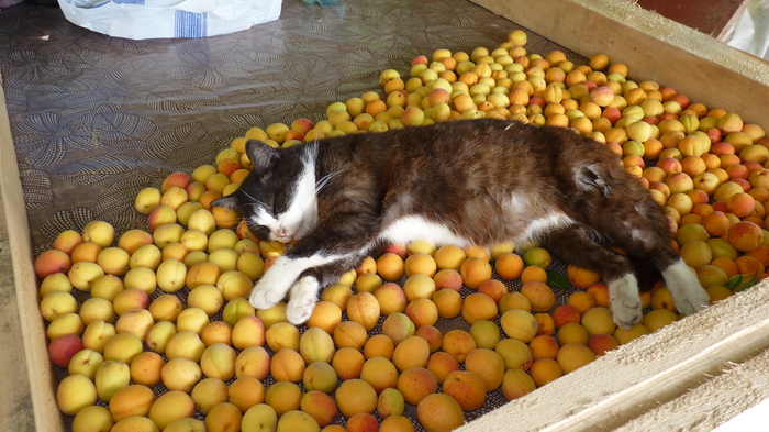 ����� ����� ������...