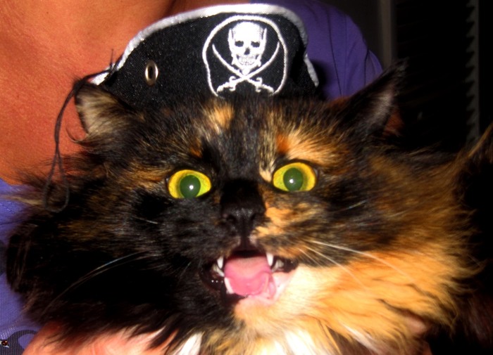 Из жизни Спасательного Отряда.