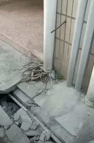 Жажда жизни