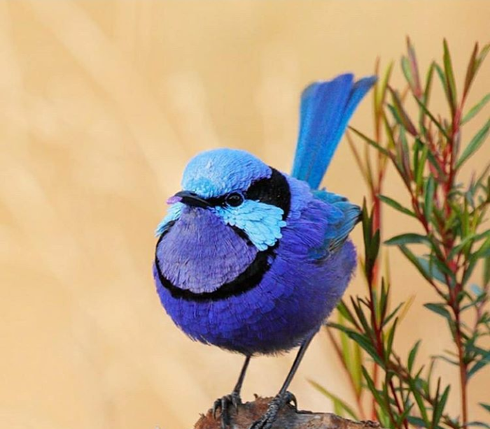 Поскорее бы снежок | Пикабу