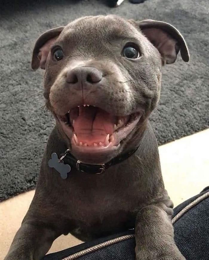 ��������� ������� �������