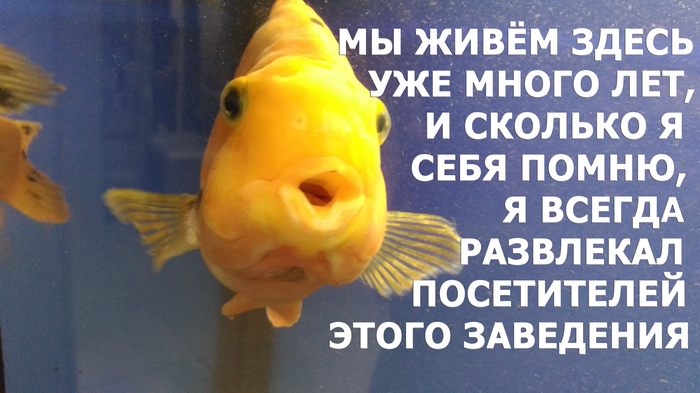   , , , , -, , 