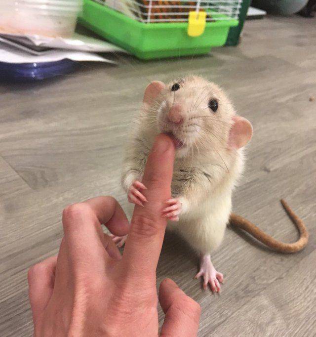 ����� ��� �������� � �������