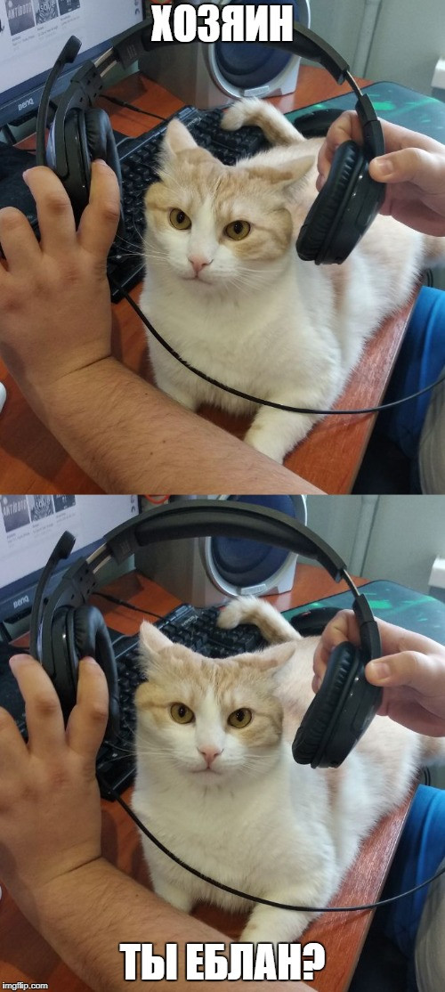 ����� ��� ���� ��������� ����� ������ �����