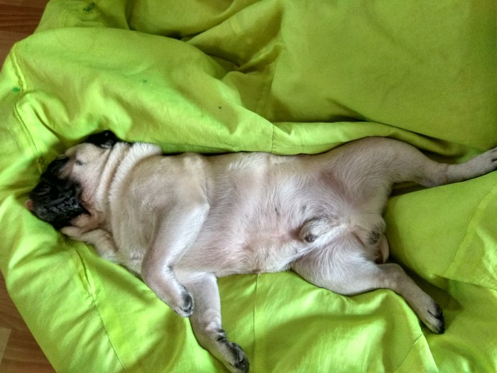 ������� �� �������