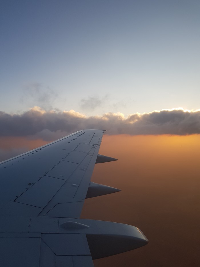 ���� - �����