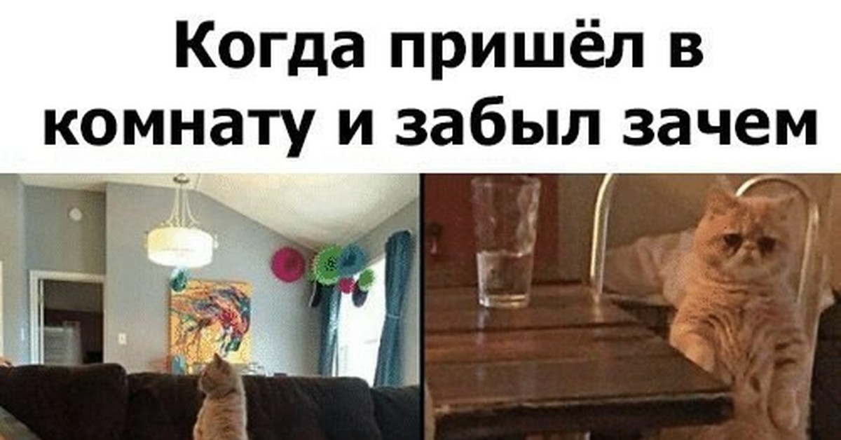 Почему Пришли Фото