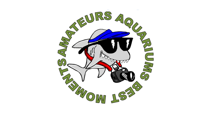 Конкурс любительской аквариумной фотографии