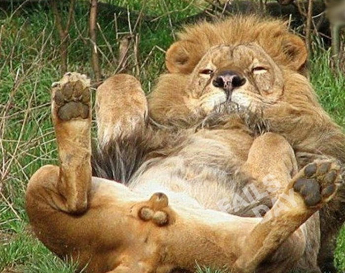 ����� �� ��� �� �����