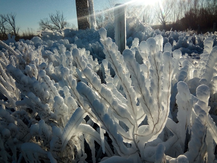 Breakthrough water tower + frost. - My, Ryazan, Pronsky District, , Tower, Water, freezing, Housing and communal services, Video, Longpost