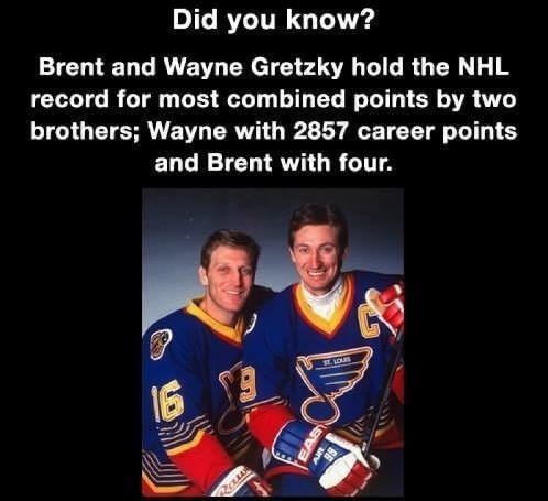 Brotherly - Hockey, Brothers, Record, Nhl