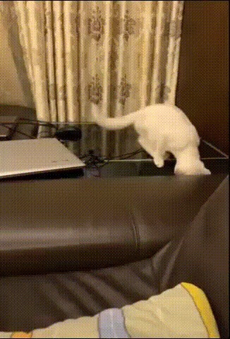 Немного не по плану