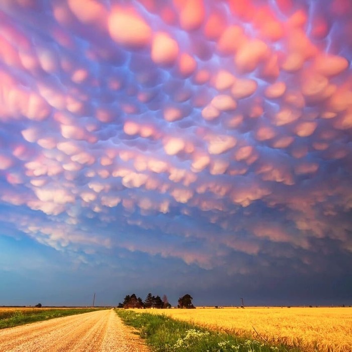 Aesthetics - Aesthetics, beauty, Clouds, Sky, Field, Landscape, The photo, Nature