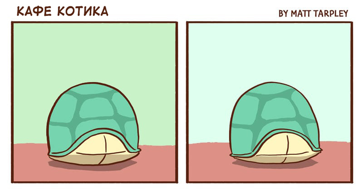 Cute comics. Комикс кафе. Кафе котика комикс. Комикс cute Rabbits and Bees.