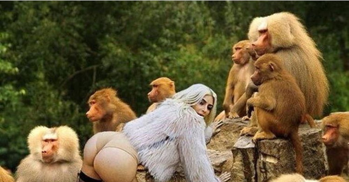 Eroti Monkey