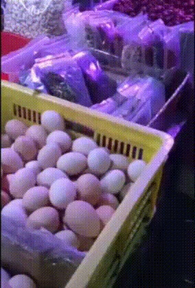 Сон сморил