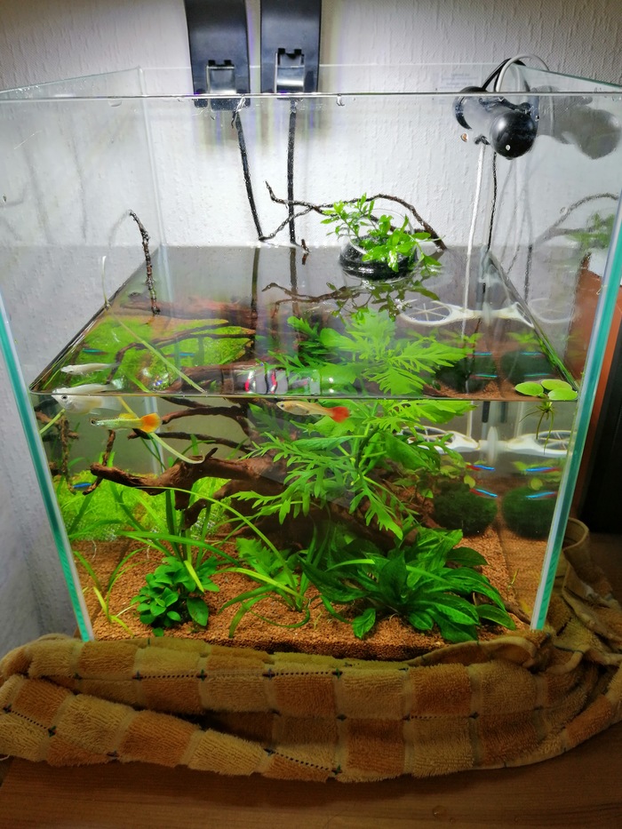    CO2 ISTA  Nano Cube 30L , , , 2 , , 