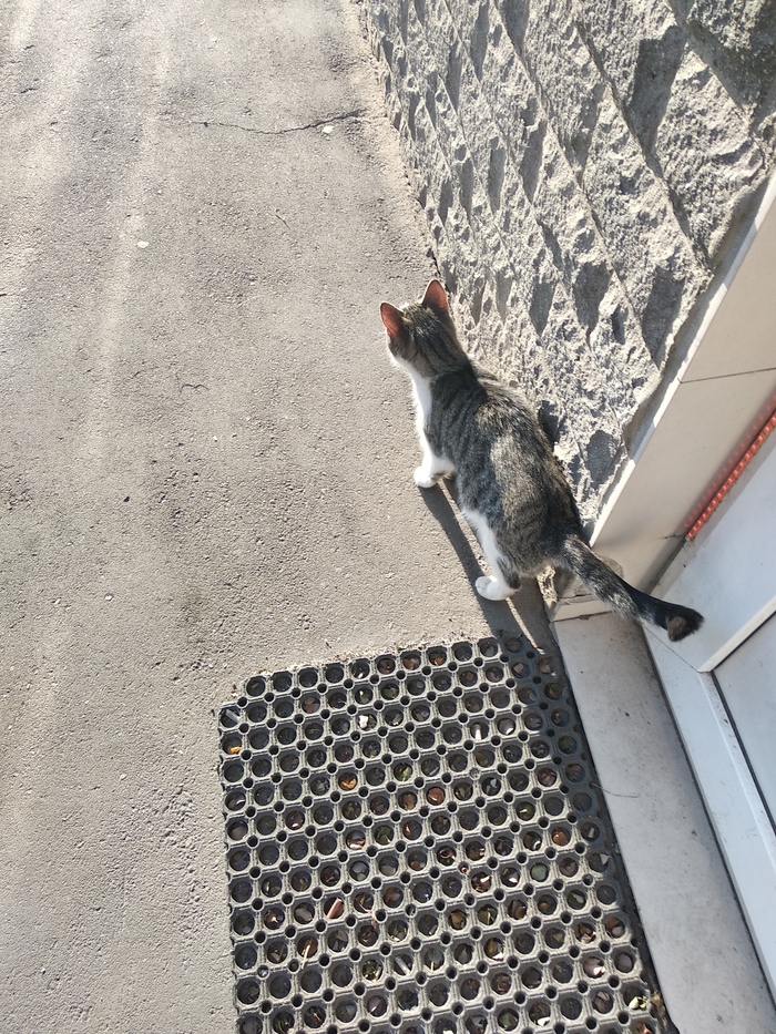 ( , , , 