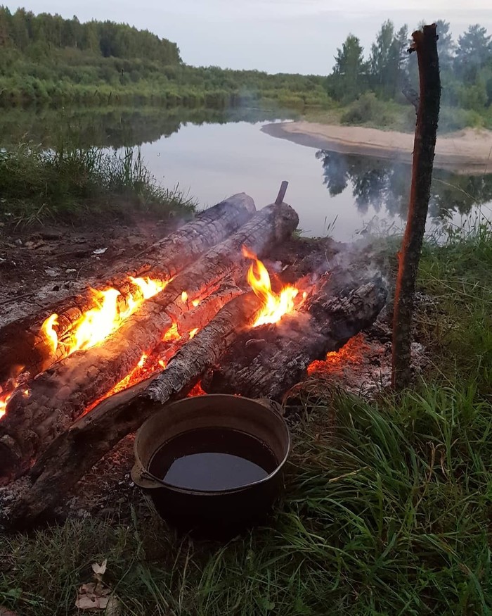 Piece of summer - My, Relaxation, Summer, Fishing, The photo