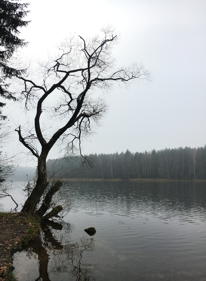 Silence - Longpost, Republic of Belarus, Deserted, Autumn, iPhone 6s, Mobile photography, My