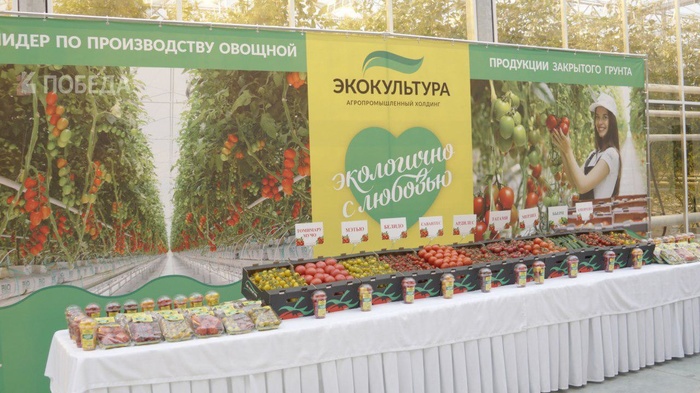 Construction of a new phase of the greenhouse complex has begun in the Stavropol Territory - Stavropol region, , Greenhouse